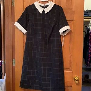 NWT - Classic b&w collared dress
